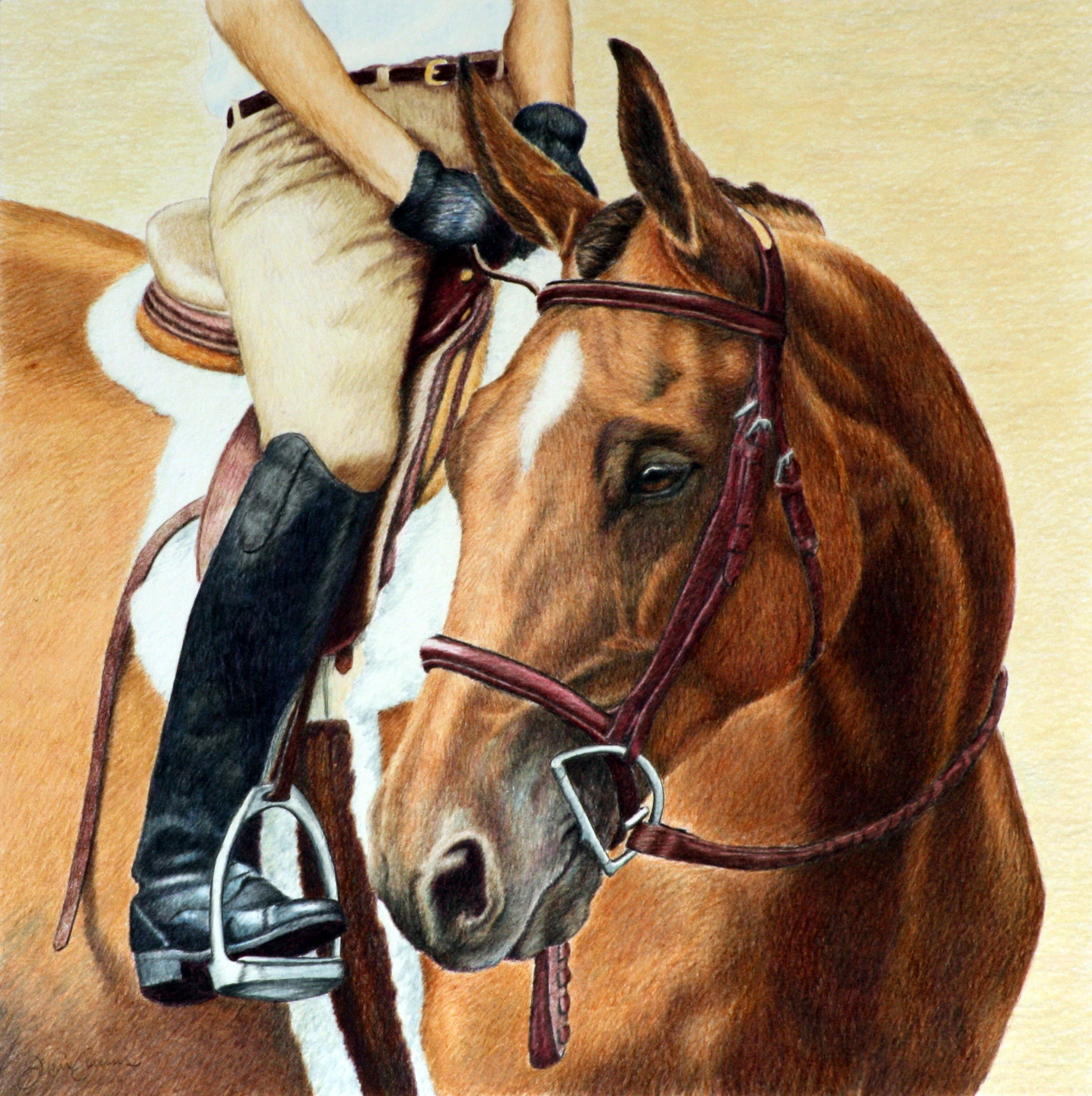 In Private Collection. Colored pencil on Bristol board 